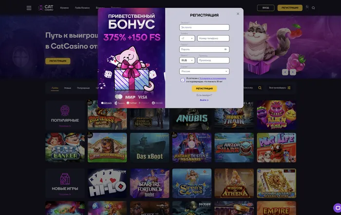 Cat Casino регистрация